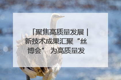 聚焦高质量发展｜新技术成果汇聚“丝博会” 为高质量发展注入新动能