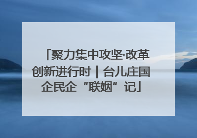 聚力集中攻坚·改革创新进行时｜台儿庄国企民企“联姻”记