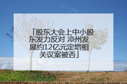 股东大会上中小股东发力反对 漳州发展约12亿元定增相关议案被否