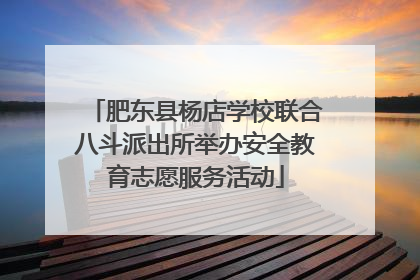肥东县杨店学校联合八斗派出所举办安全教育志愿服务活动
