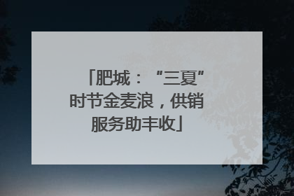 肥城：“三夏”时节金麦浪，供销服务助丰收