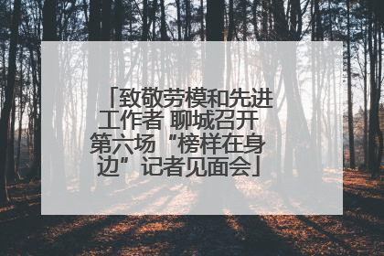 致敬劳模和先进工作者 聊城召开第六场“榜样在身边”记者见面会