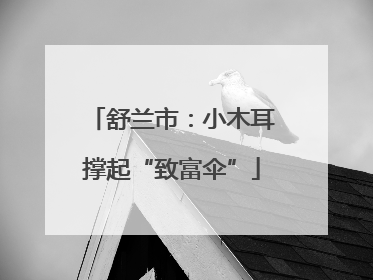 舒兰市：小木耳撑起“致富伞”