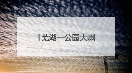 芜湖一公园大喇叭辱骂遛狗市民？真相来了……