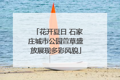 花开夏日 石家庄城市公园萱草盛放展现多彩风貌