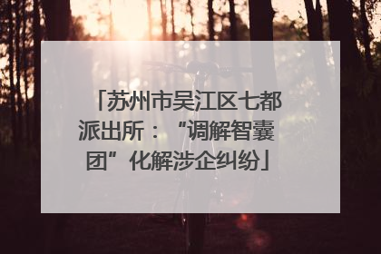 苏州市吴江区七都派出所：“调解智囊团”化解涉企纠纷