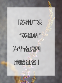 苏州广发“英雄帖”为华南虎四胞胎征名