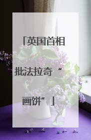 英国首相批法拉奇“画饼”