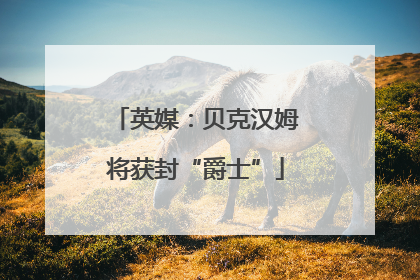 英媒：贝克汉姆将获封“爵士”