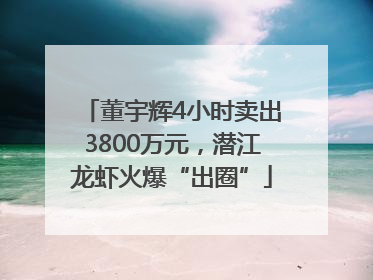 董宇辉4小时卖出3800万元，潜江龙虾火爆“出圈”
