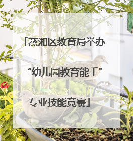 蒸湘区教育局举办“幼儿园教育能手”专业技能竞赛