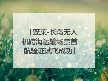 蓬莱-长岛无人机跨海运输场景首航验证试飞成功