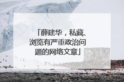 薛建华，私藏、浏览有严重政治问题的网络文章