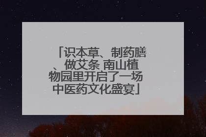 识本草、制药膳、做艾条 南山植物园里开启了一场中医药文化盛宴