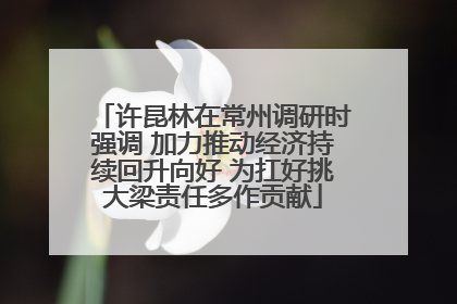 许昆林在常州调研时强调 加力推动经济持续回升向好 为扛好挑大梁责任多作贡献