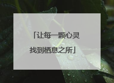 让每一颗心灵找到栖息之所