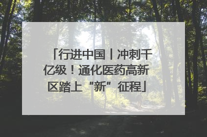 行进中国丨冲刺千亿级！通化医药高新区踏上“新”征程