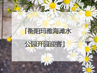 衡阳玛雅海滩水公园开园迎客
