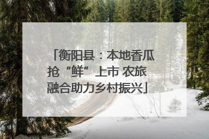 衡阳县：本地香瓜抢“鲜”上市 农旅融合助力乡村振兴