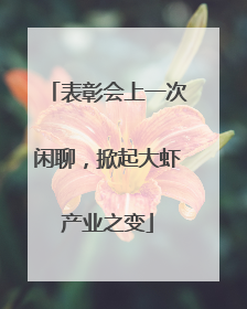 表彰会上一次闲聊，掀起大虾产业之变