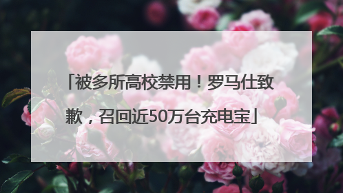 被多所高校禁用！罗马仕致歉，召回近50万台充电宝