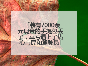 装有7000余元现金的手提包丢了，幸亏遇上了热心市民和驾驶员