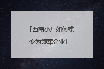 西南小厂如何蝶变为领军企业