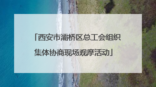 西安市灞桥区总工会组织集体协商现场观摩活动