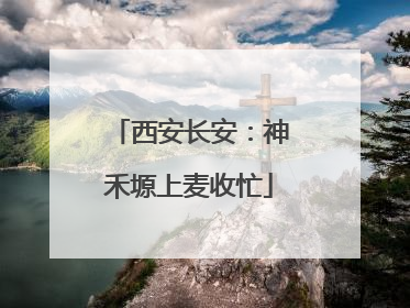 西安长安：神禾塬上麦收忙