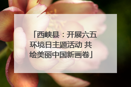 西峡县：开展六五环境日主题活动 共绘美丽中国新画卷