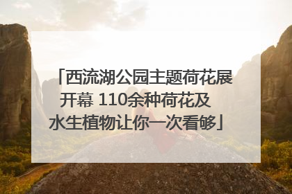 西流湖公园主题荷花展开幕 110余种荷花及水生植物让你一次看够