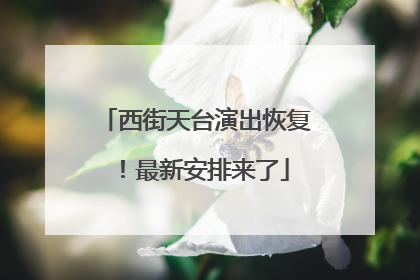 西街天台演出恢复！最新安排来了