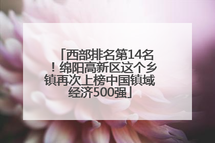 西部排名第14名！绵阳高新区这个乡镇再次上榜中国镇域经济500强