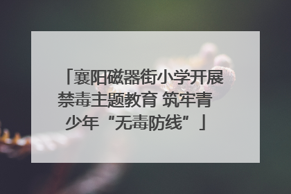 襄阳磁器街小学开展禁毒主题教育 筑牢青少年“无毒防线”