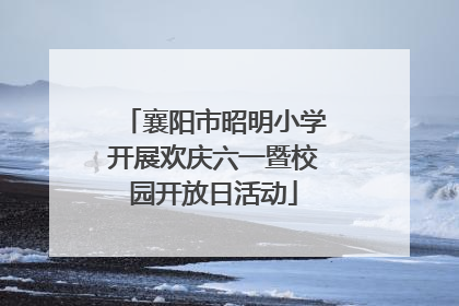 襄阳市昭明小学开展欢庆六一暨校园开放日活动