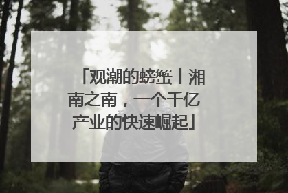 观潮的螃蟹丨湘南之南，一个千亿产业的快速崛起