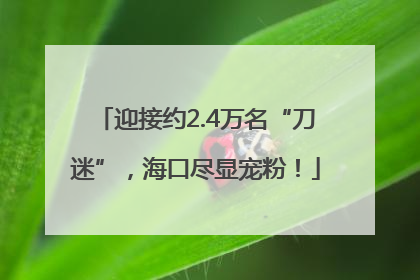 迎接约2.4万名“刀迷”，海口尽显宠粉！