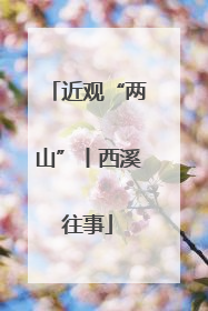 近观“两山”丨西溪往事