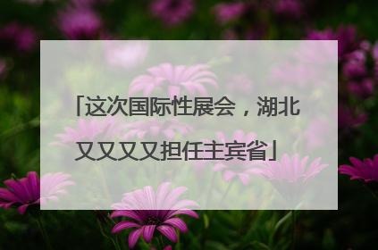 这次国际性展会，湖北又又又又担任主宾省