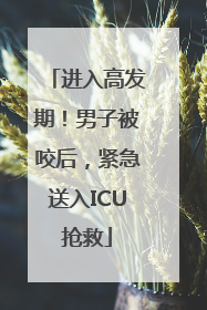 进入高发期！男子被咬后，紧急送入ICU抢救