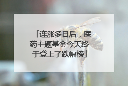 连涨多日后，医药主题基金今天终于登上了跌幅榜