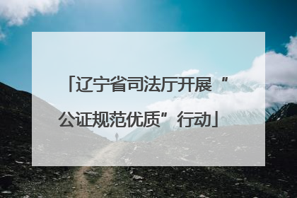 辽宁省司法厅开展“公证规范优质”行动