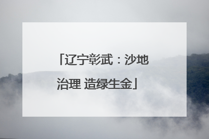 辽宁彰武：沙地治理 造绿生金
