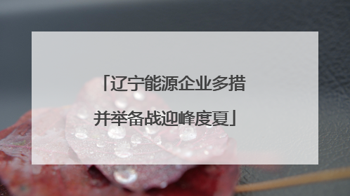 辽宁能源企业多措并举备战迎峰度夏