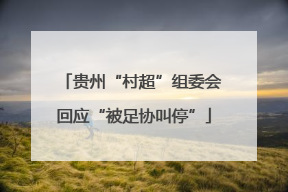 贵州“村超”组委会回应“被足协叫停”
