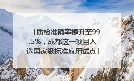 质检准确率提升至99.5%，成都这一项目入选国家级标准应用试点