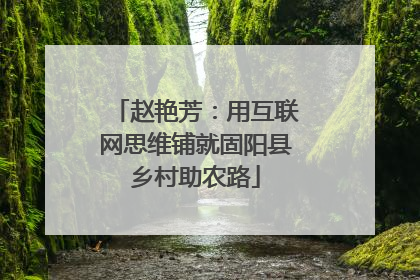 赵艳芳：用互联网思维铺就固阳县乡村助农路