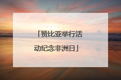 赞比亚举行活动纪念非洲日