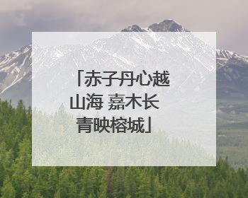 赤子丹心越山海 嘉木长青映榕城