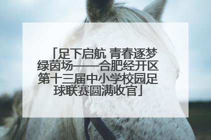 足下启航 青春逐梦绿茵场——合肥经开区第十三届中小学校园足球联赛圆满收官